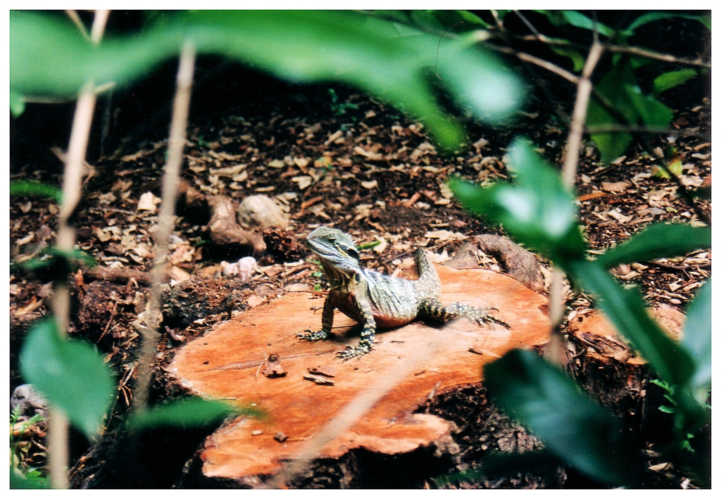 04 - Queensland (34).jpg